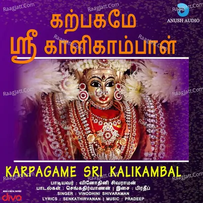 Karpagame Sri Kalikambal - Vinodhini Shivaraman