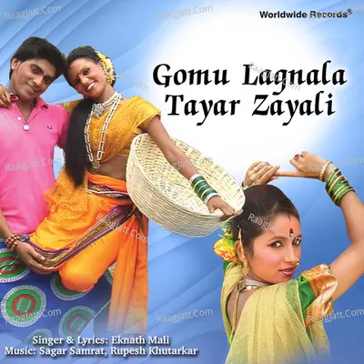 Gomu Lagnala Tayar Zayali Poster