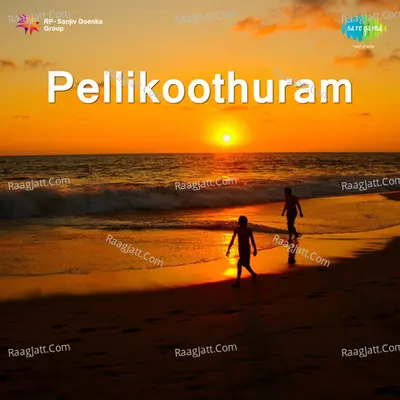 Pellikoothuram - M. L. Vasanth Kumari