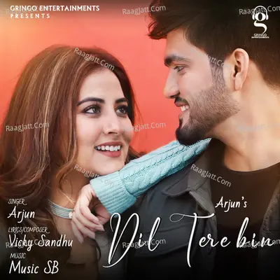 Dil Tere Bin Poster