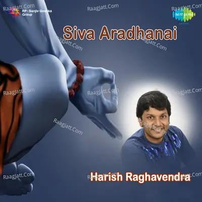 Sivaradhanai Harish Raghavendra Songs - Raghavendra