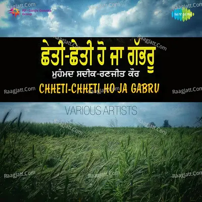 Chetti Chetti Ho Ja Gabru Poster