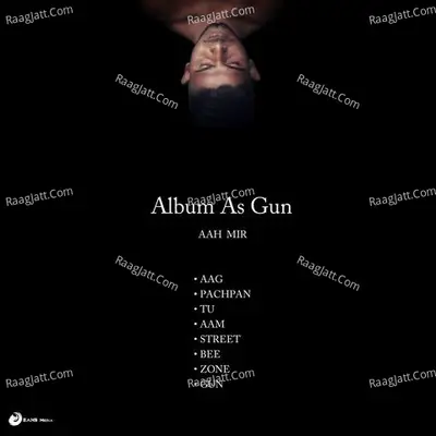 Album As Gun Poster