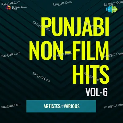 Punjabi Non - Film Hits Vol - 6 Poster