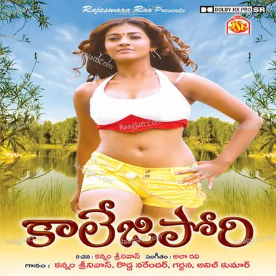 College Pori Poster