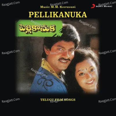 Pellikanuka Poster