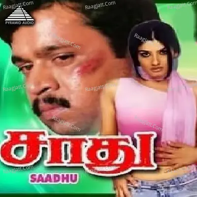 Sadhu (Original Motion Picture Soundtrack) - Ilaiyaraaja