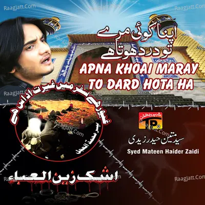 Apna Khoai Maray to Dard Hota Ha - Syed Mateen Haider Zaidi