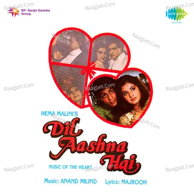 Dil Aashna Hai Poster