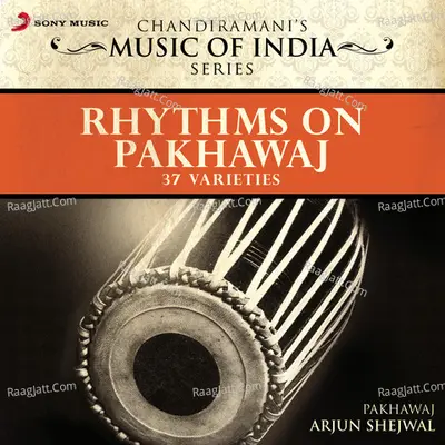 Rhythms On Pakhawaj Poster