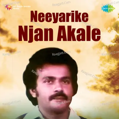 Neeyarike Njan Akale Mlm Poster