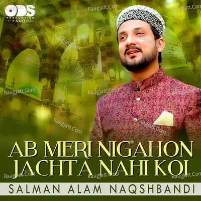 Ab Meri Nigahon Jachta Nahi Koi - Salman Alam Naqshbandi