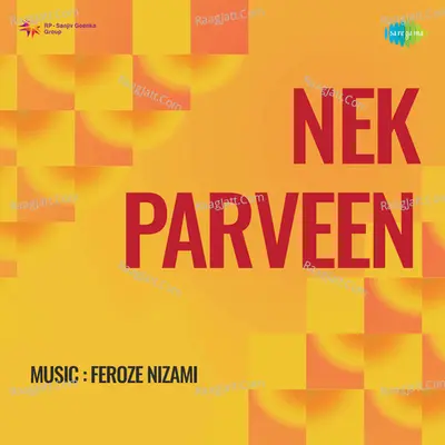 Nek Parveen Poster