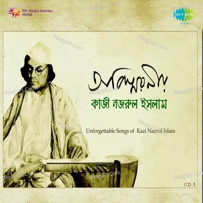 Abismaraniyo Kazi Nazrul Islam Volume 3 - Kazi Nazrul Islam