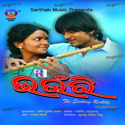 Bhaunri Poster