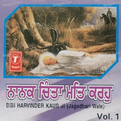 Nanak Chinta Mat Karo - Bibi Harwinder Kaur Khalsa