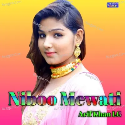 Niboo Mewati Poster