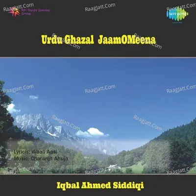 Urdu Ghazal - Jaam - O - Meena - Vandana Bajpai