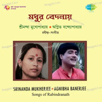 Madhur Bedanaay - Agnibho Bandyopadhyay