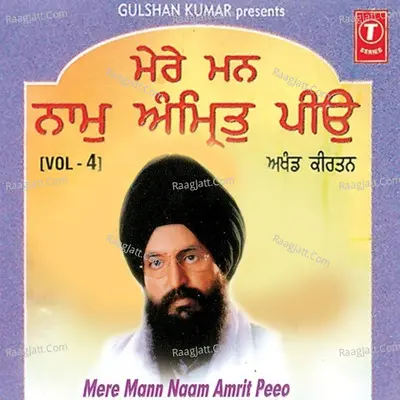 Mere Mann Naam Amrit - Bhai Satinder Pal Singh