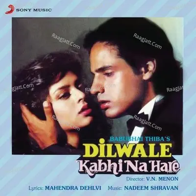 Dilwale Kabhi Na Hare (Original Motion Picture Soundtrack) - Nadeem Saifi