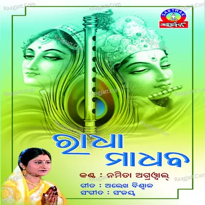 Radhamadhaba - Namita Agarwal