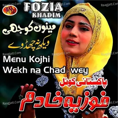 Menu Kojhi Wekh Na Chad Wey, Vol. 14 Poster