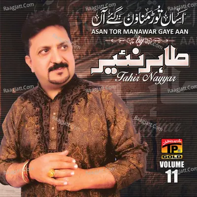 Assan Toor Manawan Gaye Haan, Vol. 11 Poster