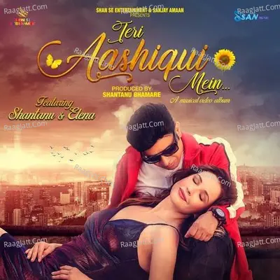 Teri Aashiqui Mein Poster