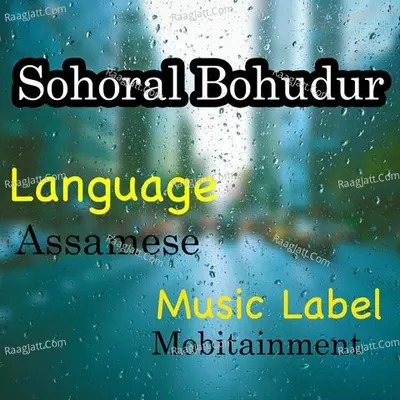 Sohoral Bohudur Poster