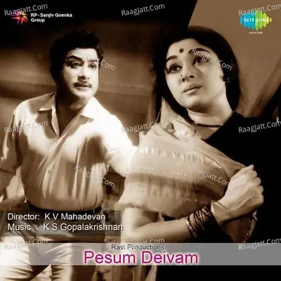 Pesum Deivam - T M S Selvakumar