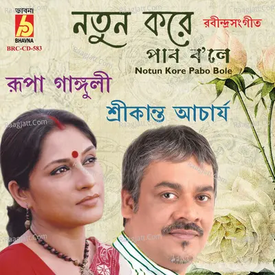 Notun Kore Pabo Bole Poster