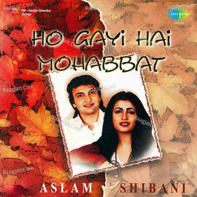 Ho Gayi Hai Mohabbat Aslam And Shibani Poster