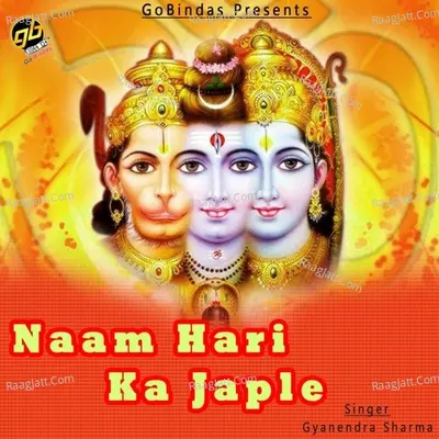 Naam Hari Ka Japle - Pt  Gyanendra Sharma