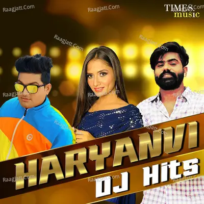 Haryanvi DJ Hits Poster