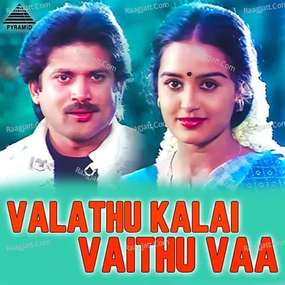 Valathu Kalai Vaithu Vaa (Original Motion Picture Soundtrack) - Prem Seeni