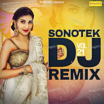 Sonotek DJ Remix Vol 21 Poster