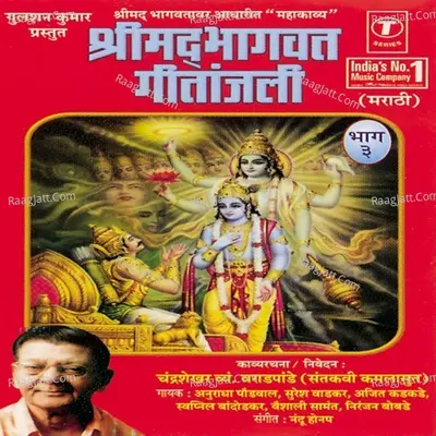 Shreemad Bhagwat Geetanjali Vol.3 Poster