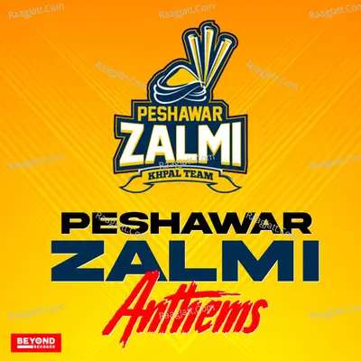 Peshawar Zalmi Anthems Poster