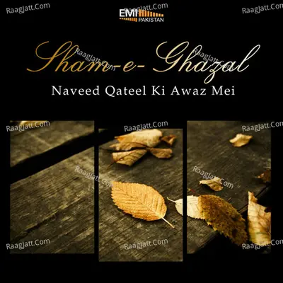 Sham-E-Ghazal - Naveed Qateel