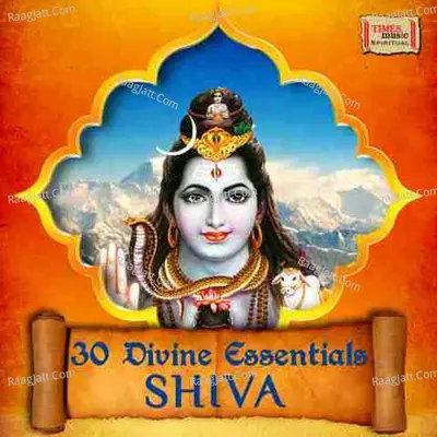 30 Divine Essentials - Shiva Poster