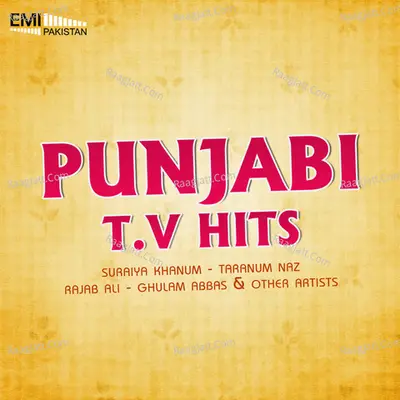 Punjabi TV Hits Poster