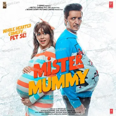 Mister Mummy Poster