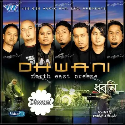 Dhwani - Damyanti Barot