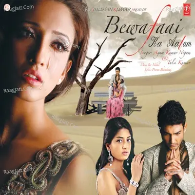 Bewafaai Ka Aalam Poster