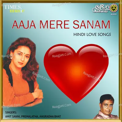 Aaja Mere Sanam - Amit Sanni