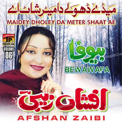 Maidey Dholey da Meter Shaat Ae, Vol. 06 - Afshan Zaibi