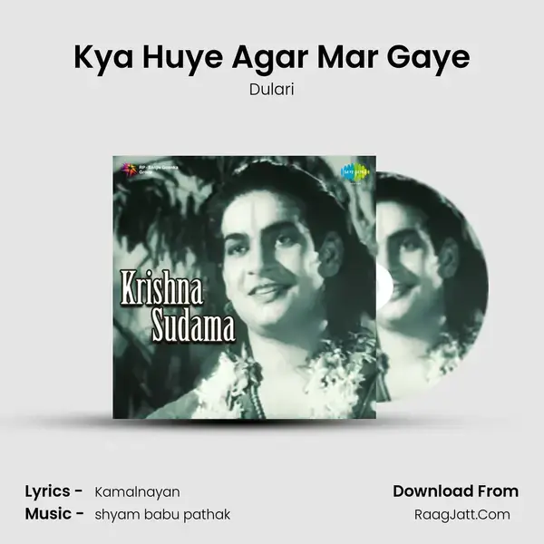 Kya Huye Agar Mar Gaye Song mp3 | Dulari