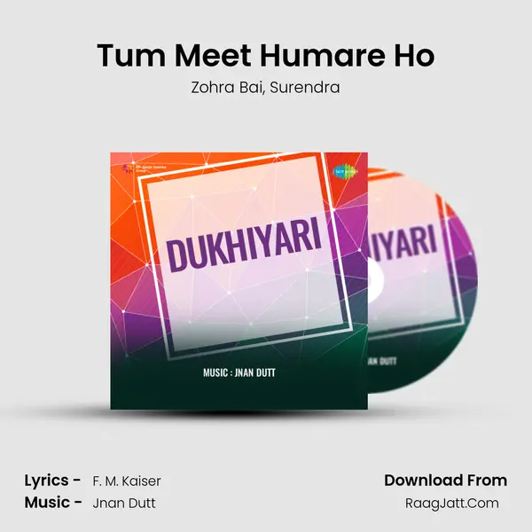 Tum Meet Humare Ho mp3 song