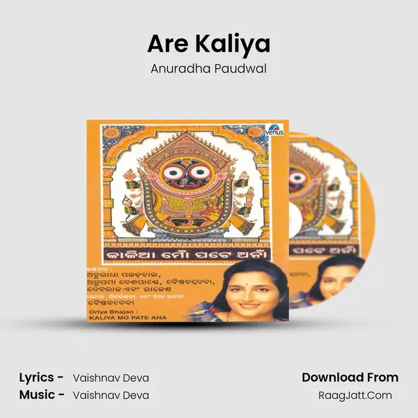 Are Kaliya Song mp3 | Anuradha Paudwal